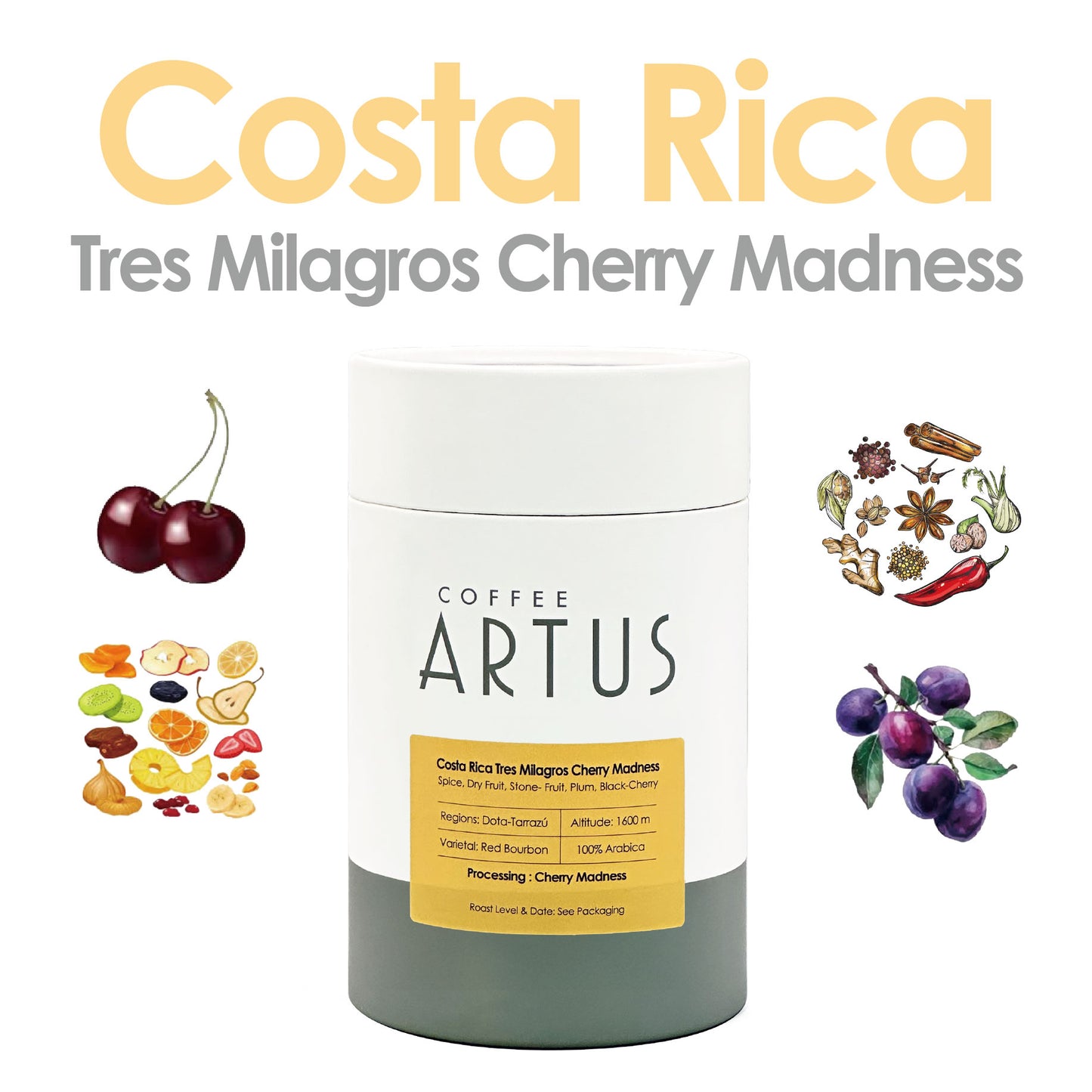 Costa Rica | Dota-Tarrazú | Red Bourbon | Cherry Madness
