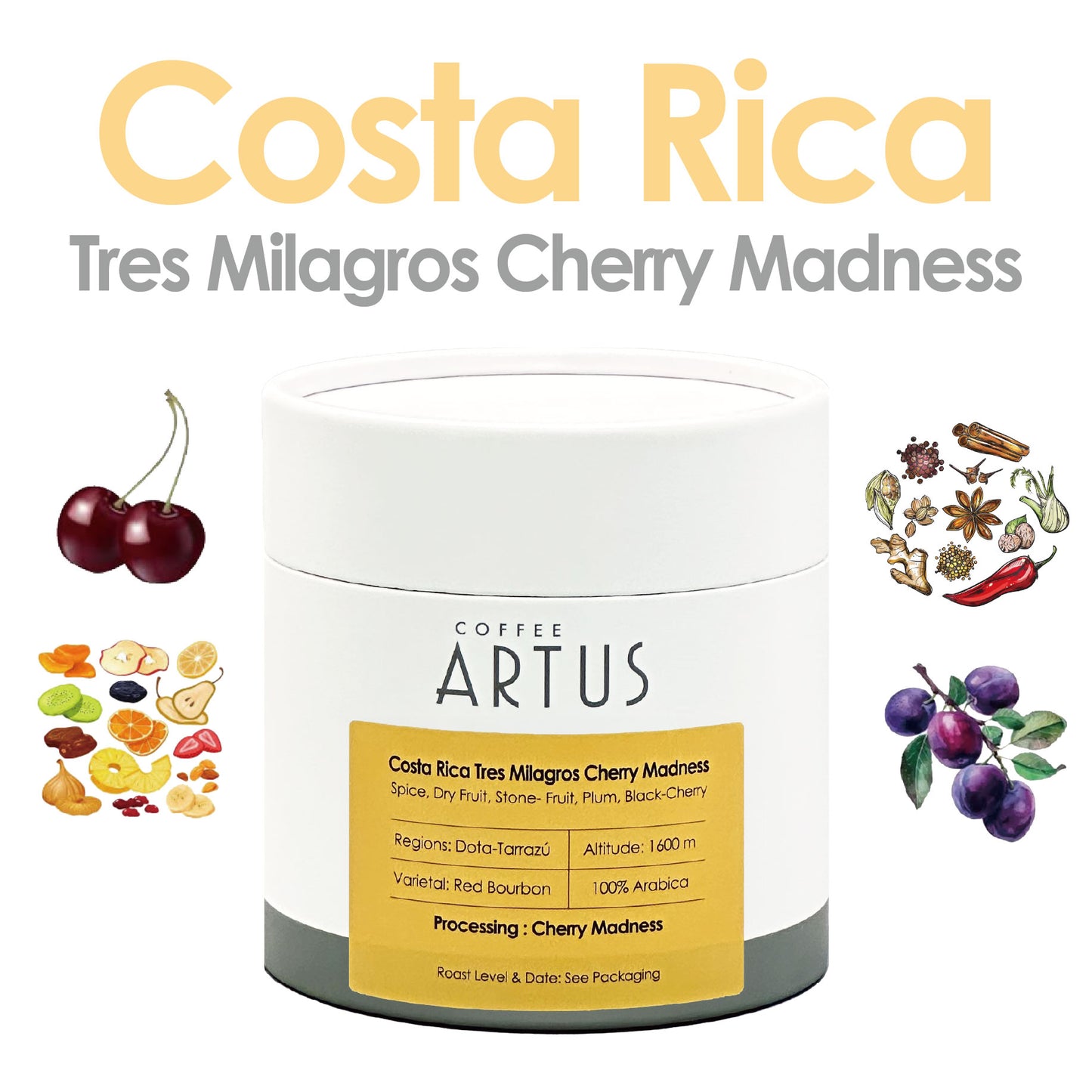 Costa Rica | Dota-Tarrazú | Red Bourbon | Cherry Madness