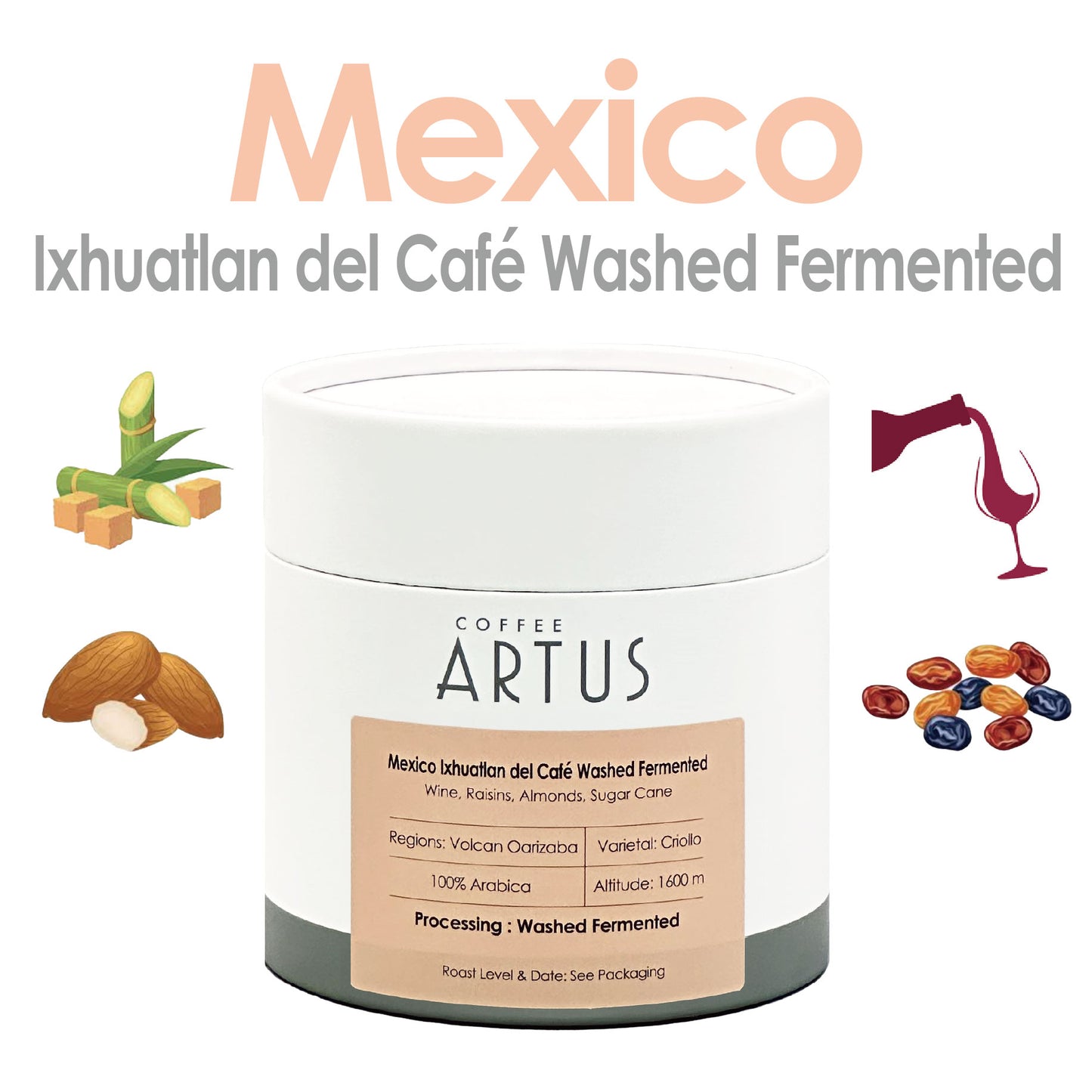 Mexico | Volcan Orizaba | Criollo | Washed Fermented