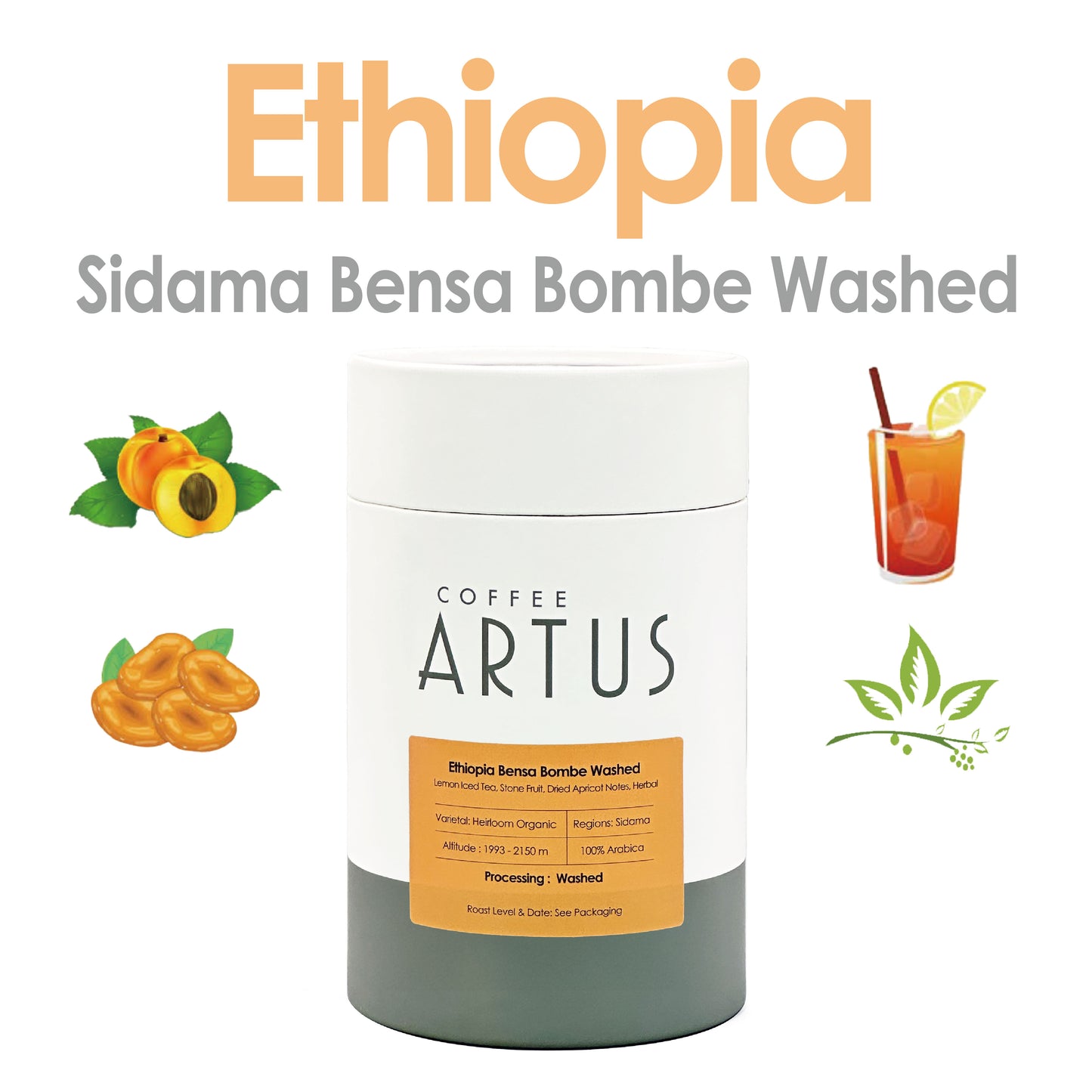 Ethiopia | Sidama Bensa Bombe | Heirloom | Washed