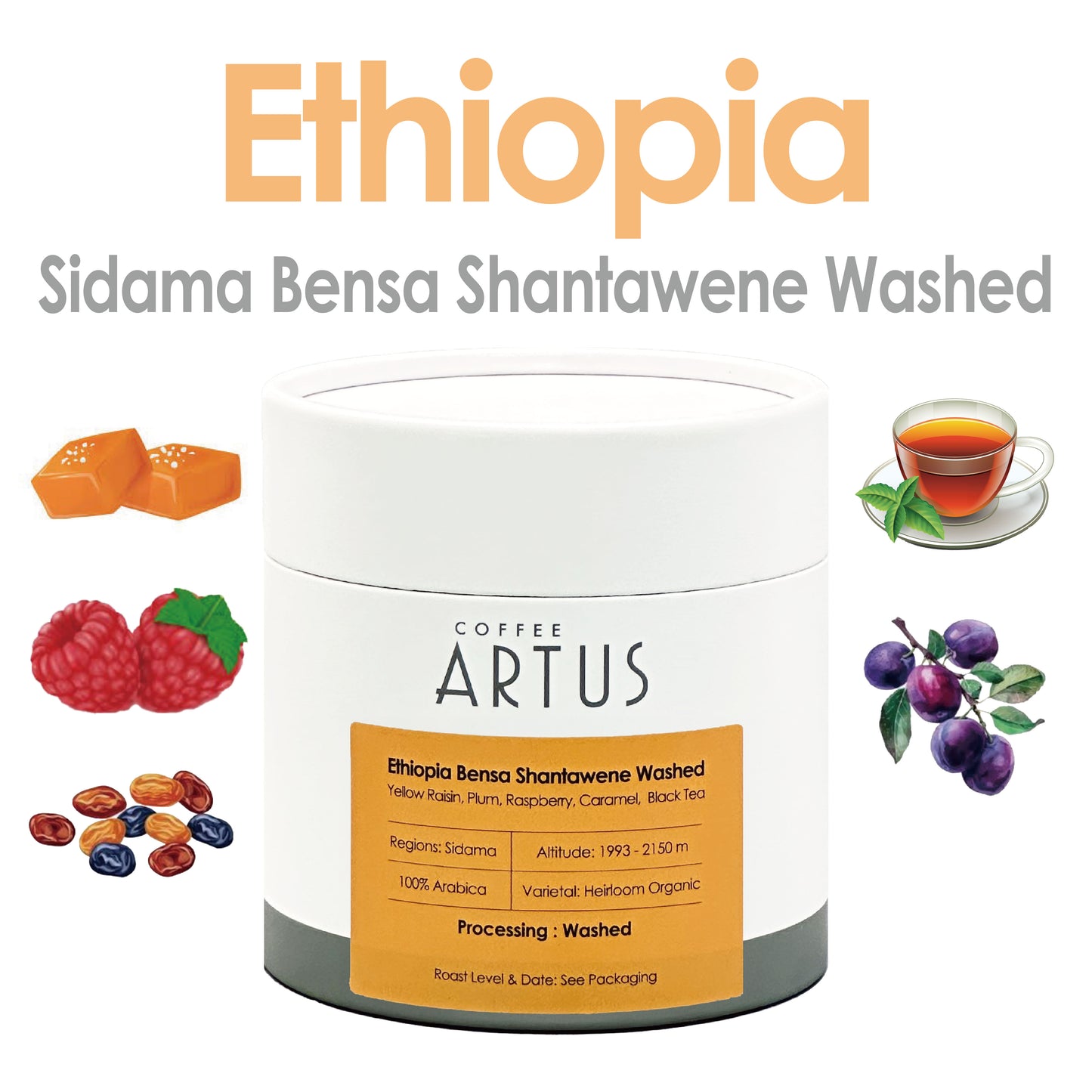 Ethiopia | Sidama Bensa Shantawene | Heirloom | Washed