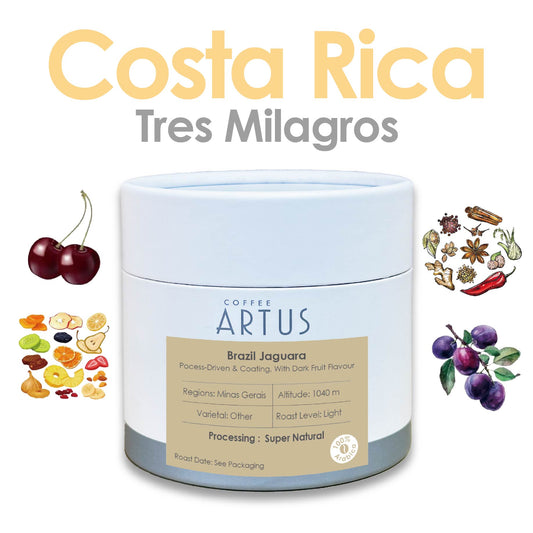 Costa Rica | Dota-Tarrazú | Red Bourbon | Cherry Madness