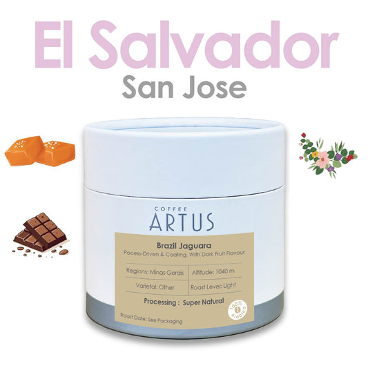 El Salvador | San Salvador Volcano | Red Bourbon | Washed Fermented