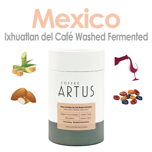 Mexico | Volcan Orizaba | Criollo | Washed Fermented