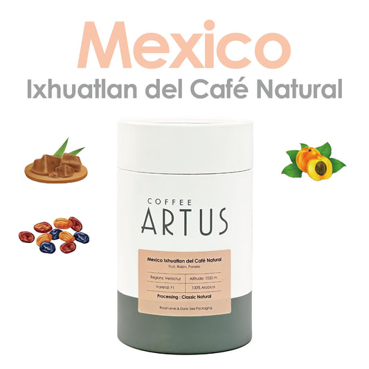 Mexico | Ixhuatlan del café | F1 | Classic Natural
